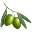 Εικονίδιο OlivePress